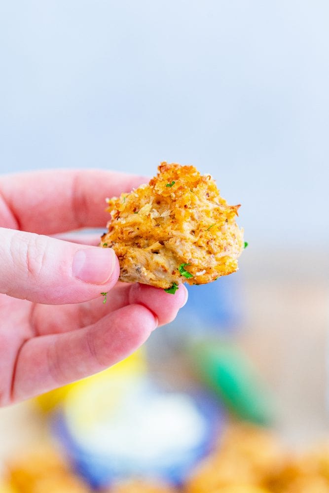 picture of a hand holding a crab cake 