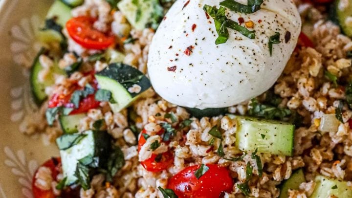 picture of farro salad in a bowl with burrata on top