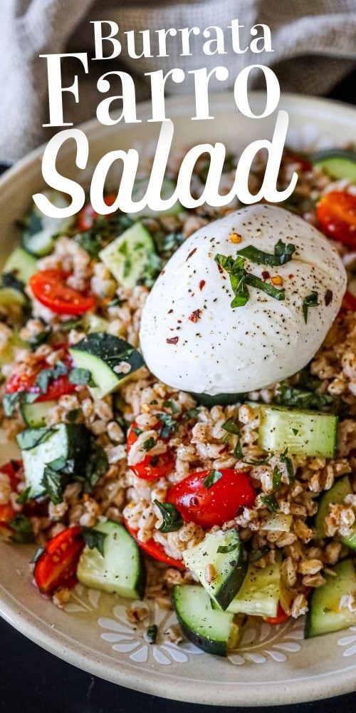 picture of farro salad with tomatoes, cucumber, basil in a bowl on a table with a burrata ball on top