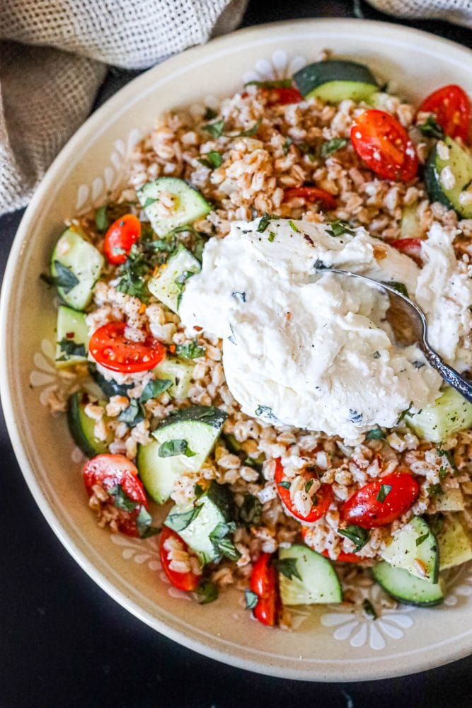 picture of farro salad with tomatoes, cucumber, basil in a bowl on a table with a burrata ball cut open and spread out over the salad on top 