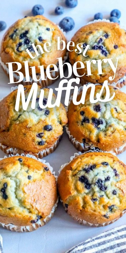 picture of blueberry muffins on a table 