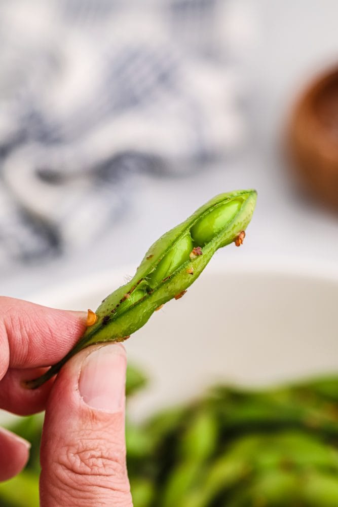 edamame beans in a shell pod up close
