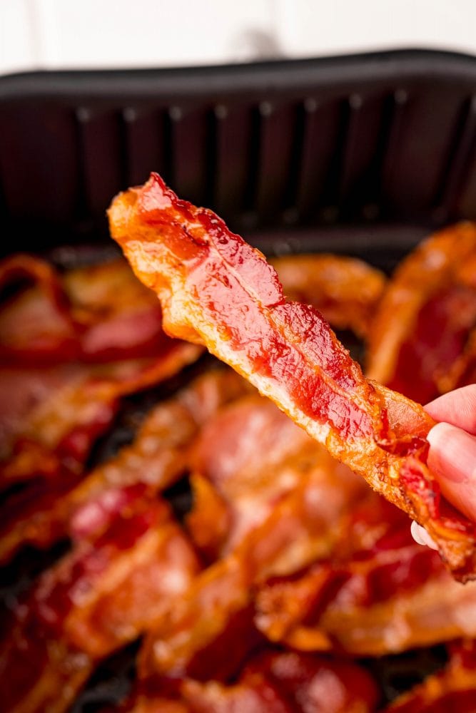 picture of a hand holding a strip of bacon