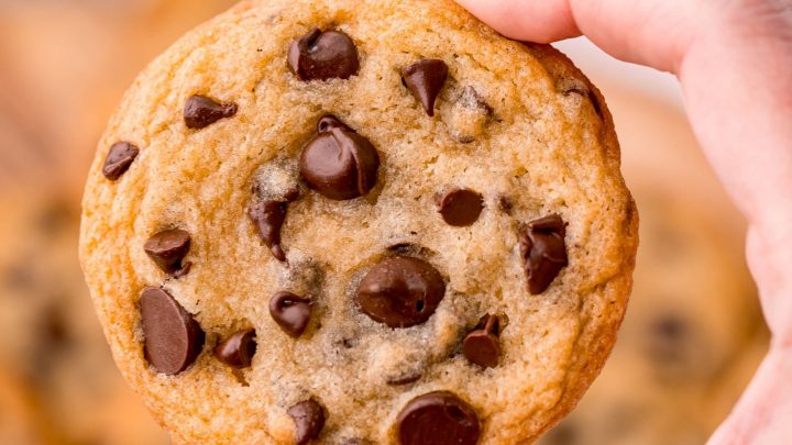 The Best Chewy Chocolate Chip Cookies Recipe