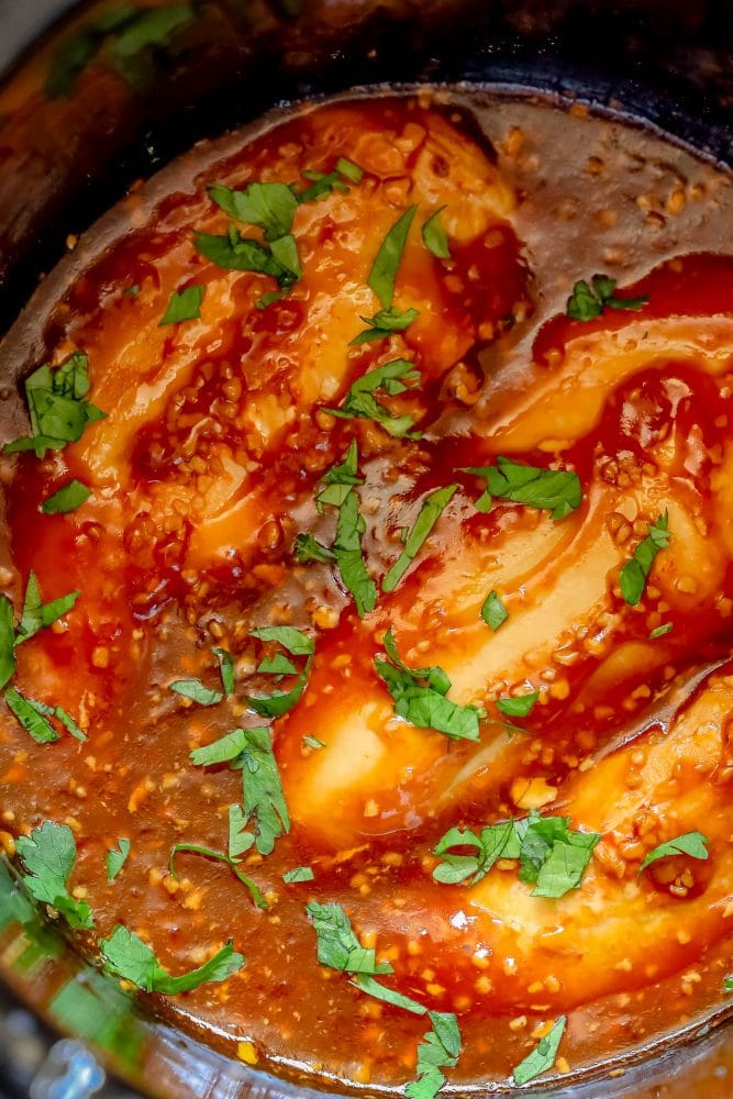 picture of honey garlic chicken in a slow cooker