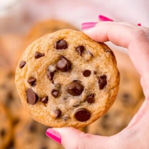 hand holding a chocolate chip cookie
