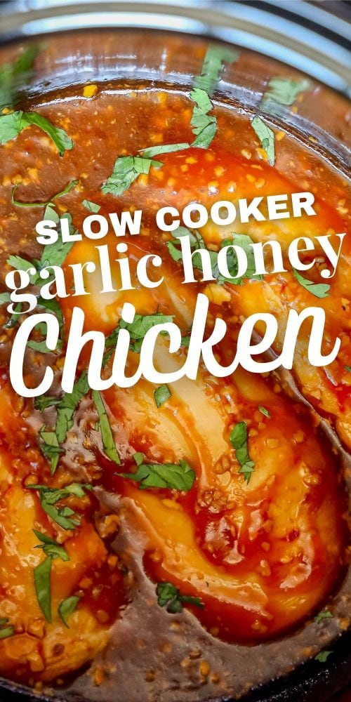 Slow Cooker Honey Garlic Chicken - The Hurried Hostess