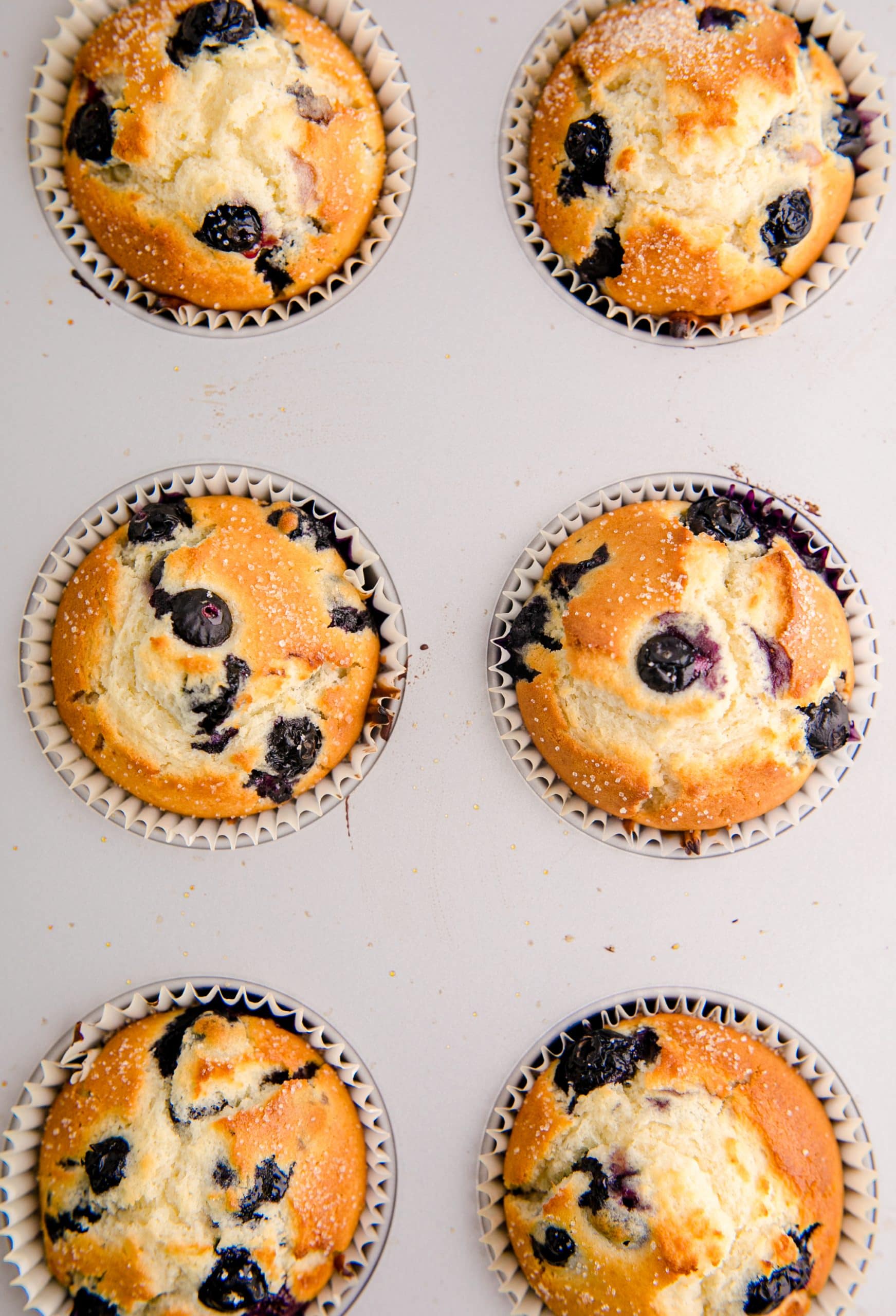 Blueberry Muffins in a muffin tin using Jumbo Blueberries.