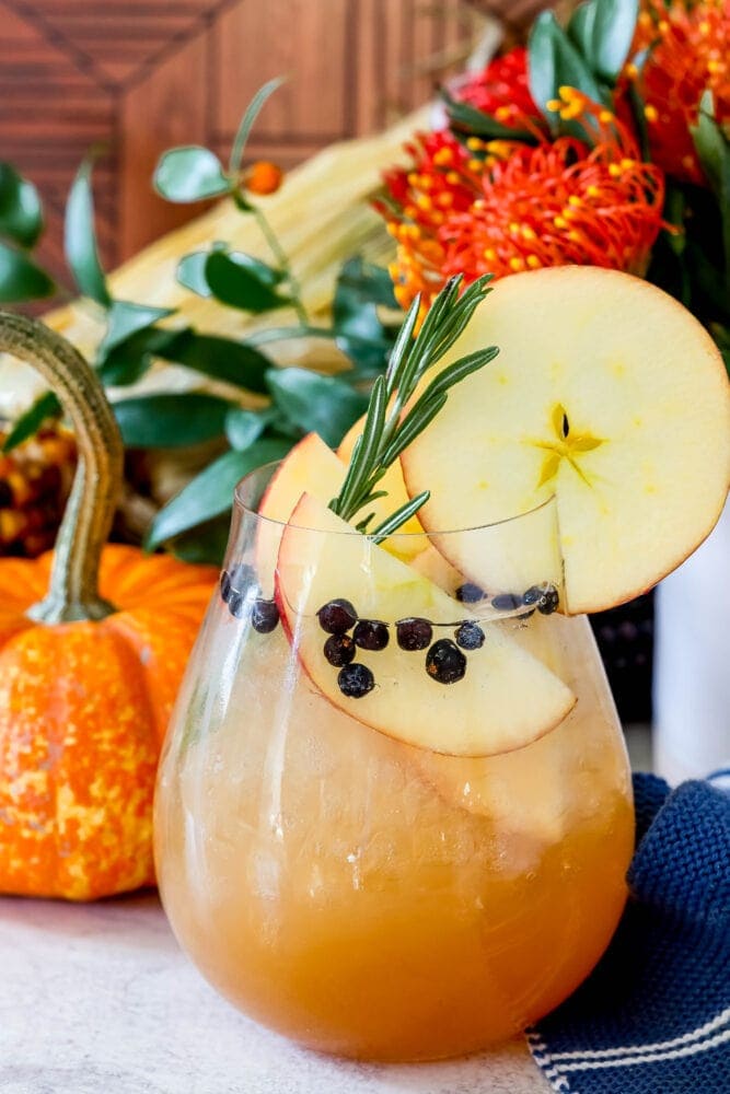 picture of apple cider gin and tonic in a glass with slices of apples in it