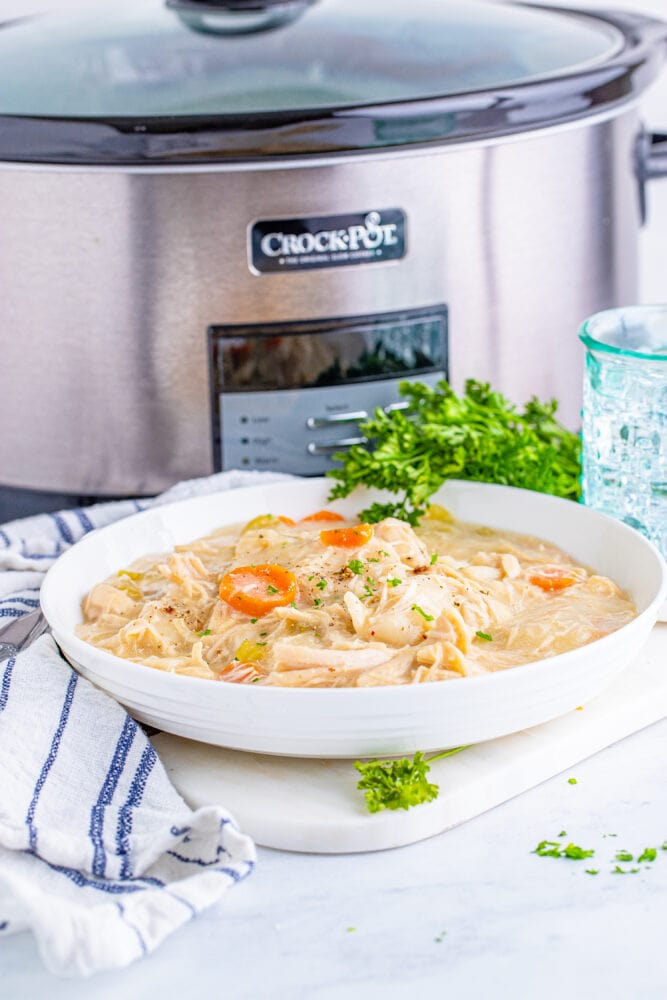 picture of chicken and dumplings in a white bowl next to a slow cooker