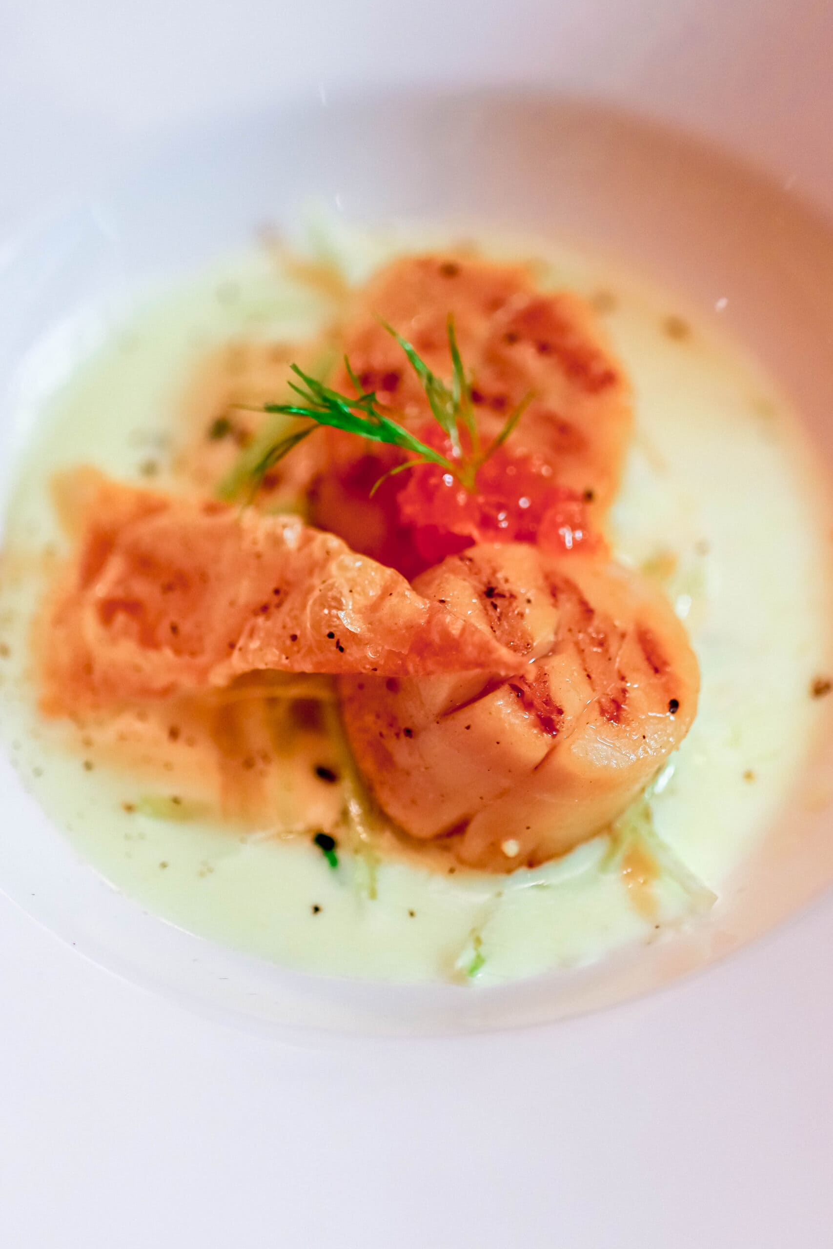 Your Ultimate Dining Guide for the Majestic Princess 22 Perfectly seared scallops in a delicate white sauce, a culinary highlight at the Crown Grill on Majestic Princess.
