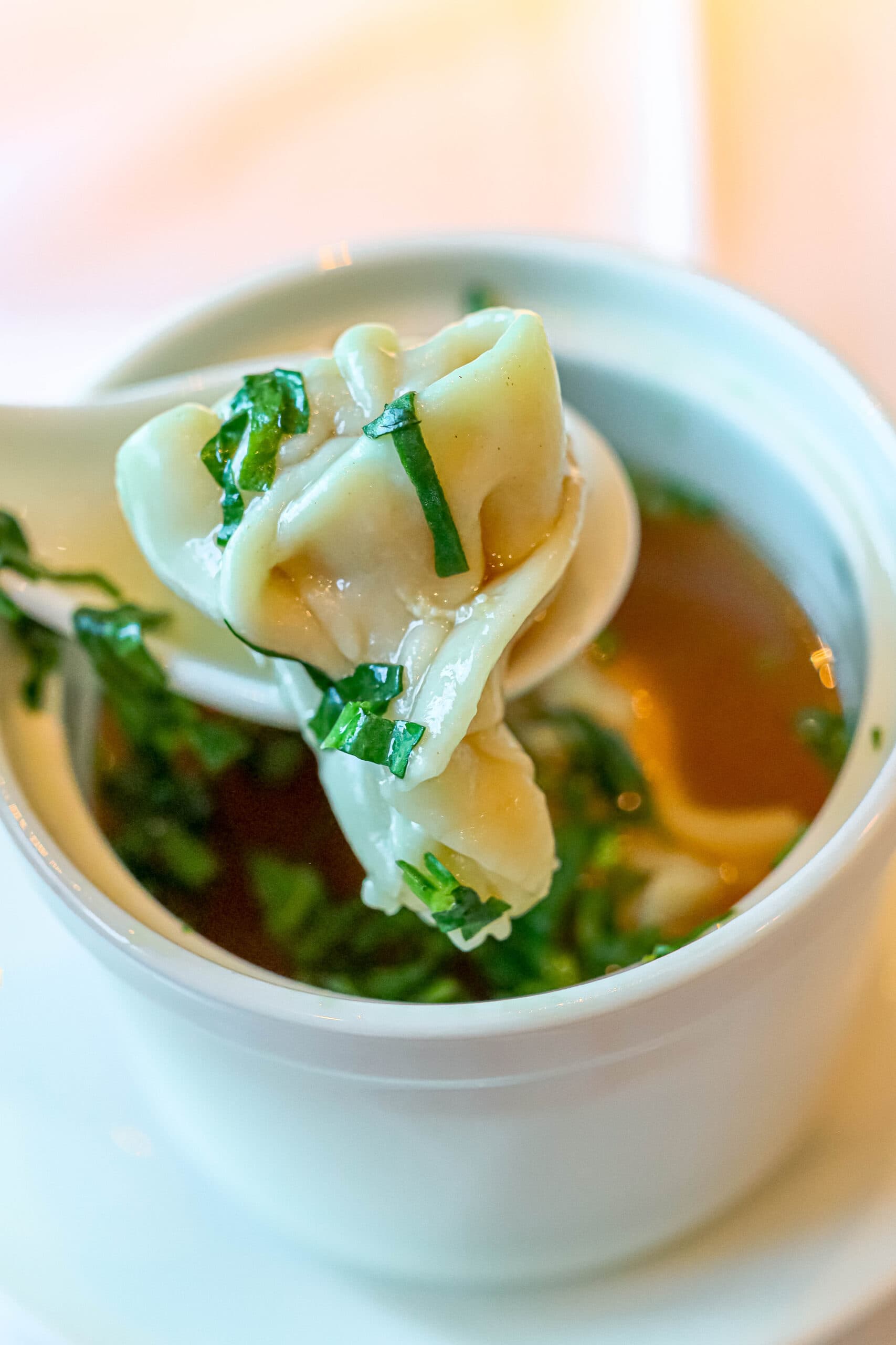 Your Ultimate Dining Guide for the Majestic Princess 11 A comforting bowl of soup with delicate dumplings, a highlight of the Princess Cruises’ Majestic Princess dining.