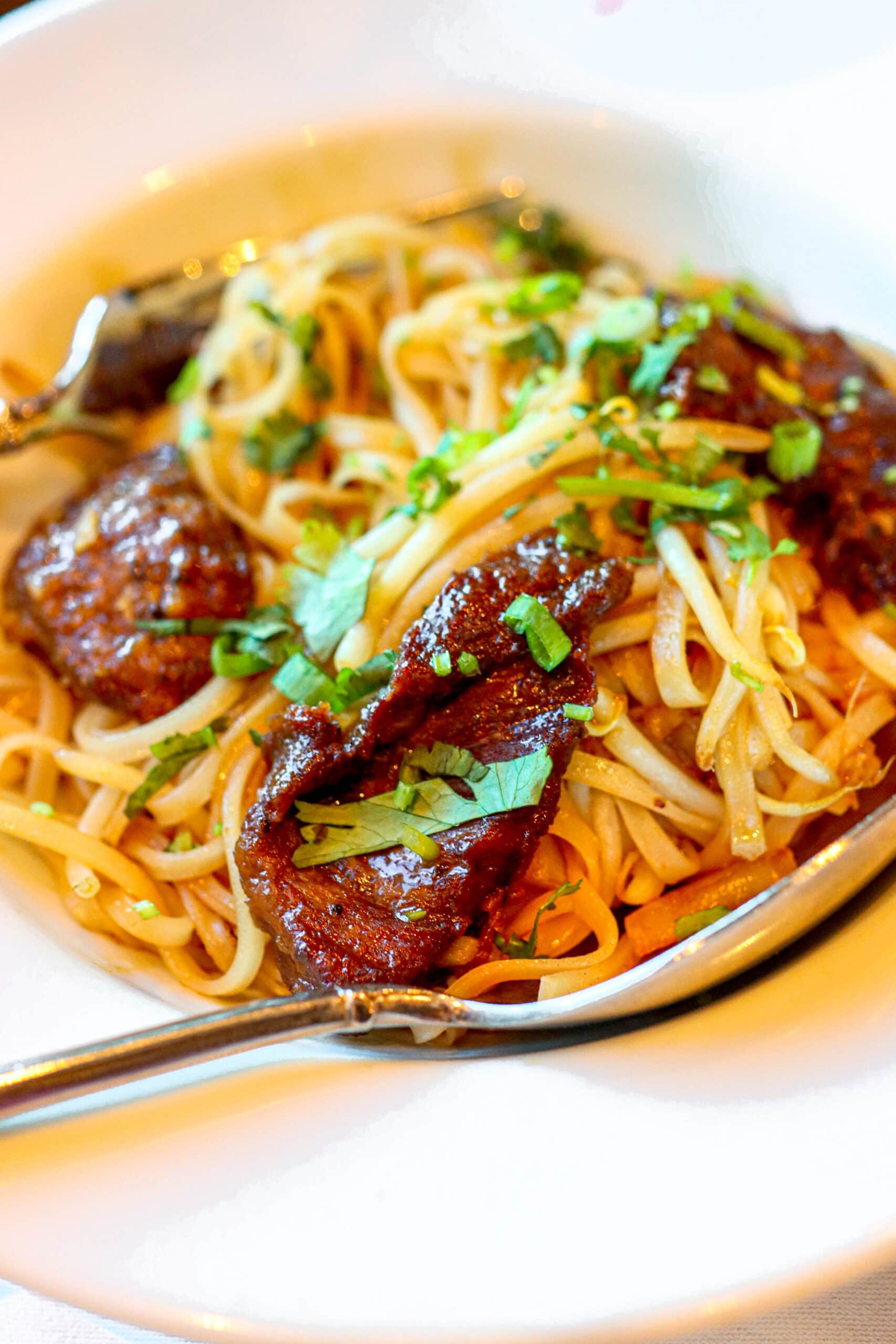 Your Ultimate Dining Guide for the Majestic Princess 14 A royal feast featuring perfectly cooked noodles and tender meat, a culinary highlight on the Majestic Princess.