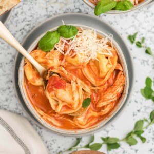 picture of tomato basil chicken tortellini soup in a bowl with a spoon in it