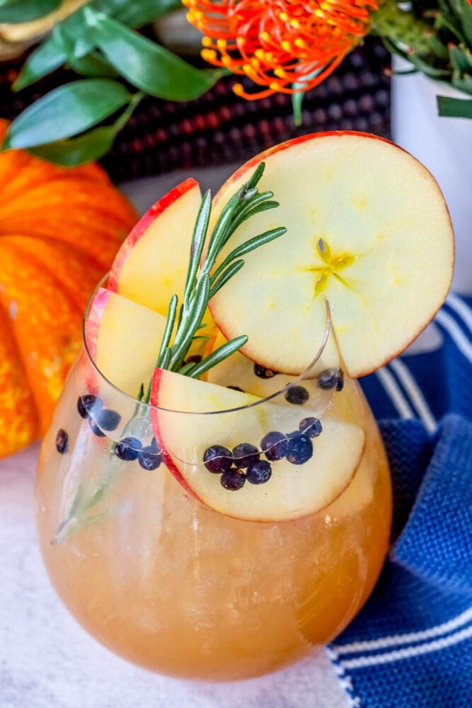 picture of apple cider gin and tonic in a glass with slices of apples in it