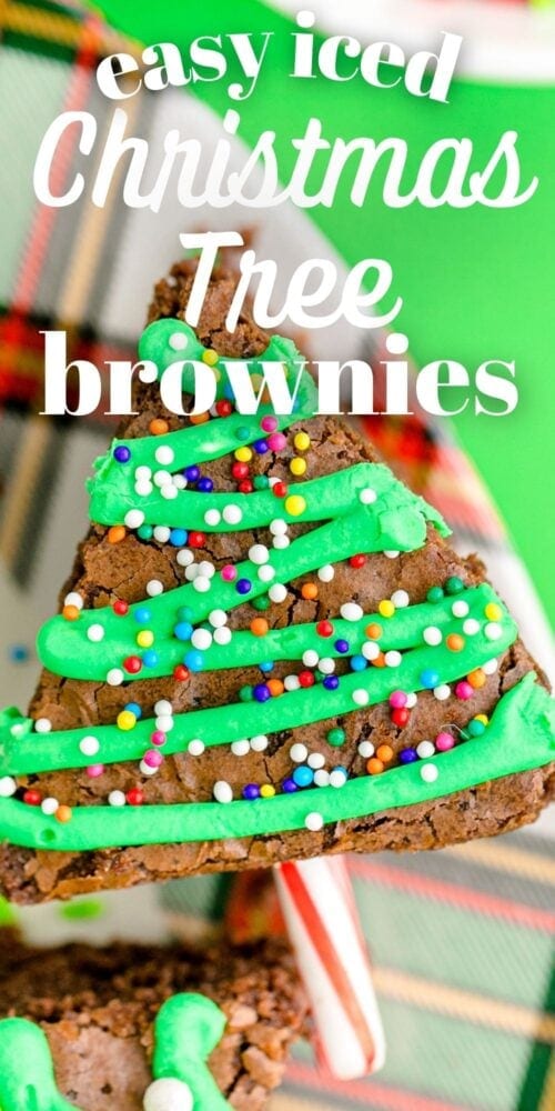 picture of christmas tree brownie on a plate