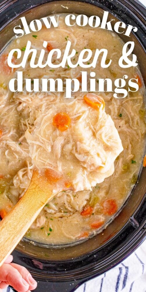 picture of chicken and dumplings in a slow cooker