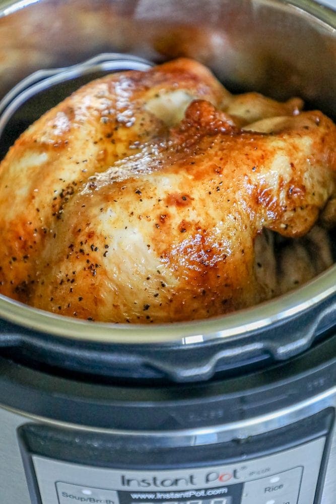picture of a turkey breast in an instant pot 