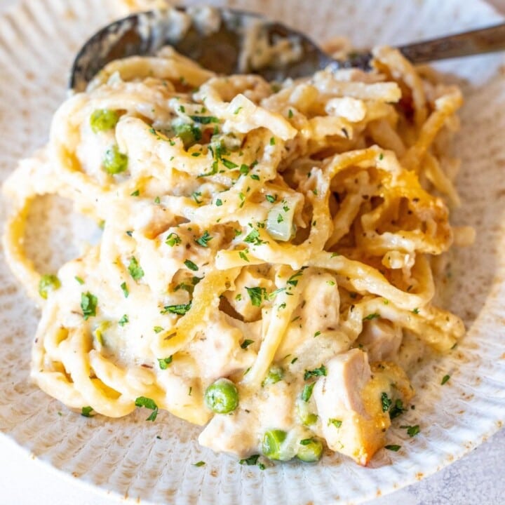 picture of turkey tetrazzini on a plate