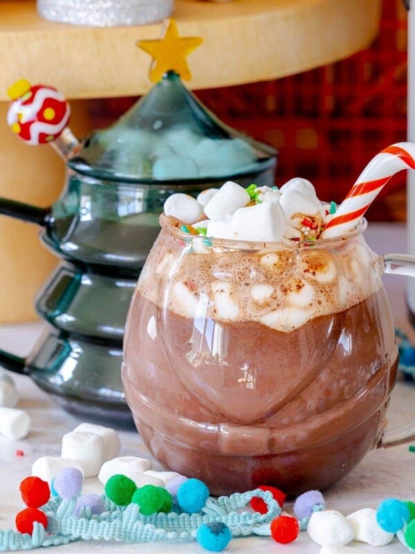 picture of mug with hot chocolate with candy cane stirrer and mini marshmallows on top