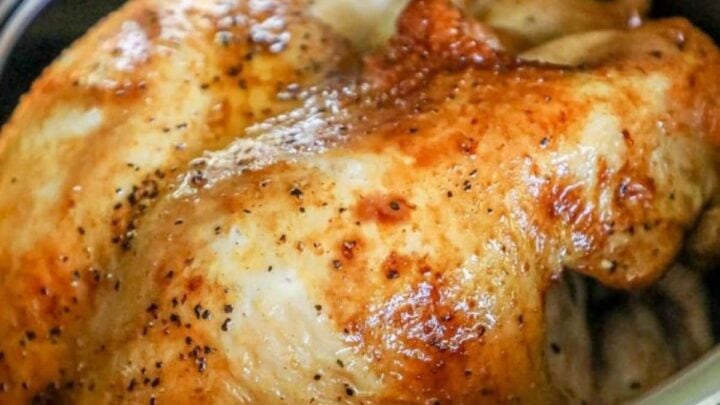 The Best Instant Pot Roasted Turkey Breast Recipe