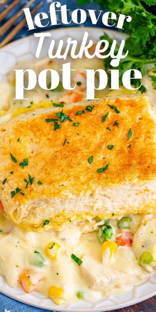 picture of turkey pot pie casserole on a white plate