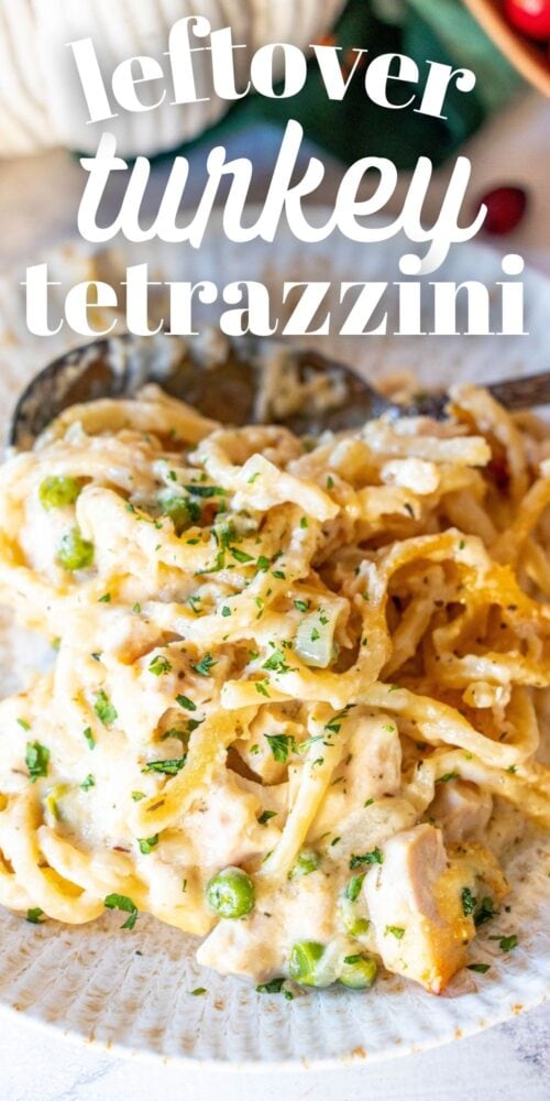 Leftover Turkey Tetrazzini Recipe picture
