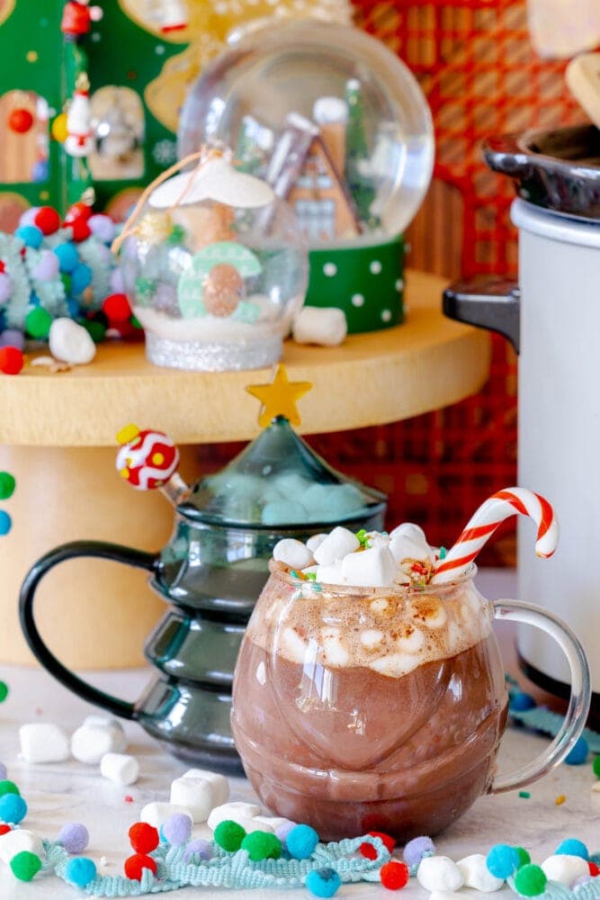 picture of mug with hot chocolate with candy cane stirrer and mini marshmallows on top