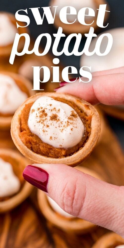 picture of hand holding mini pie 