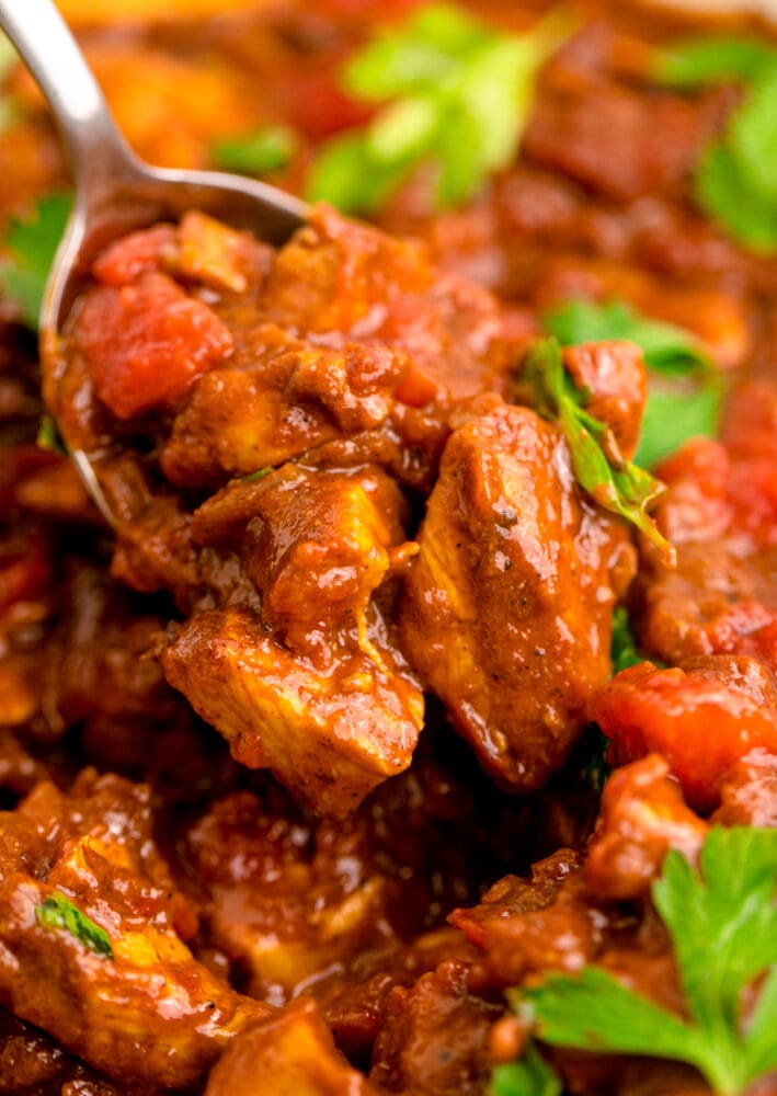 picture of madras curry in a pan with a spoon