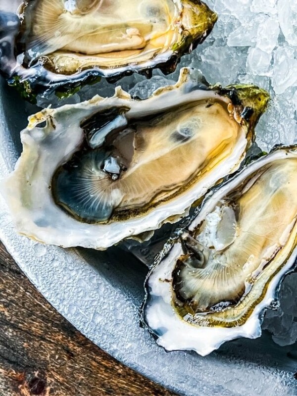 picture of oysters on ice