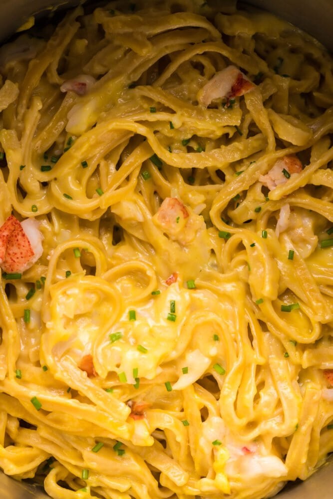 picture of lobster and brie pasta in an instant pot