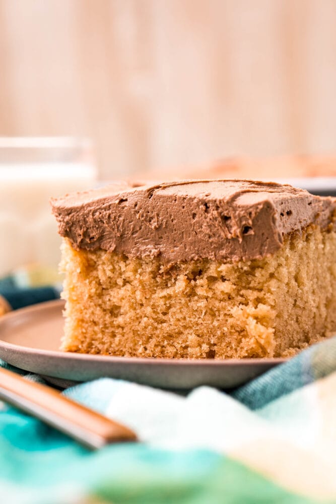 picture of a slice of peanut butter cake on a plate