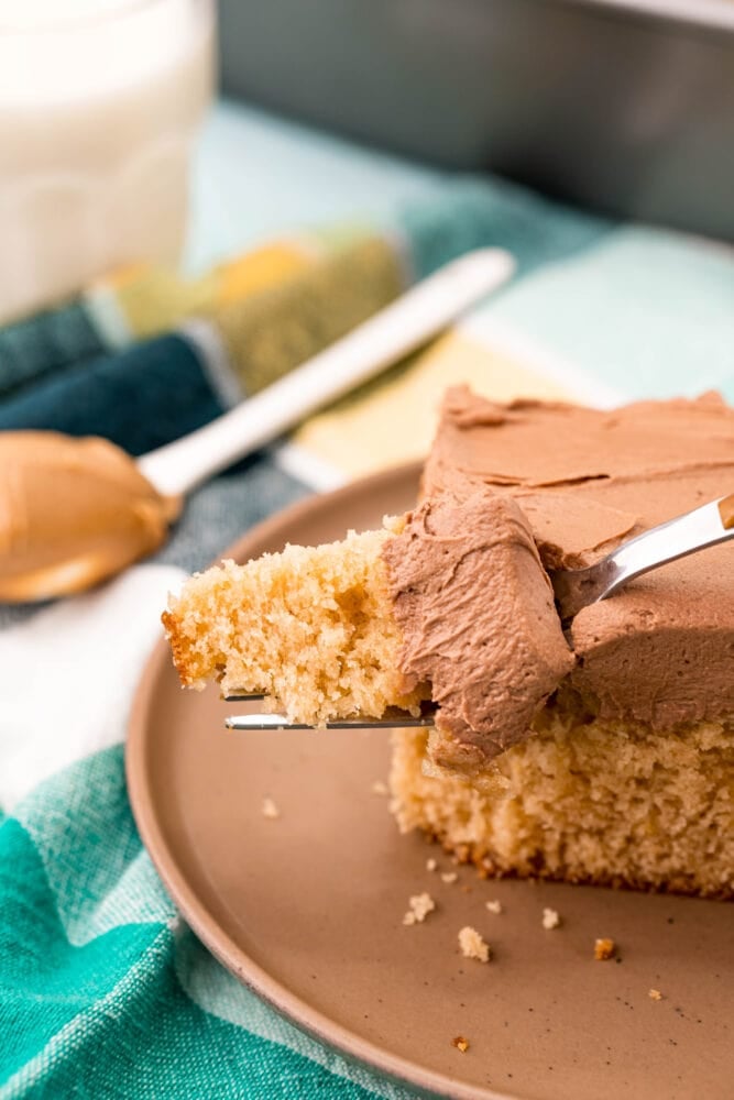 picture of a slice of peanut butter cake on a plate