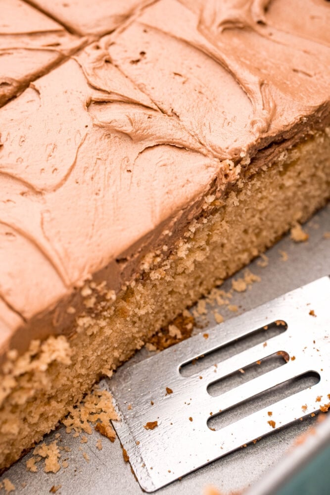 picture of a slice of peanut butter cake on a plate