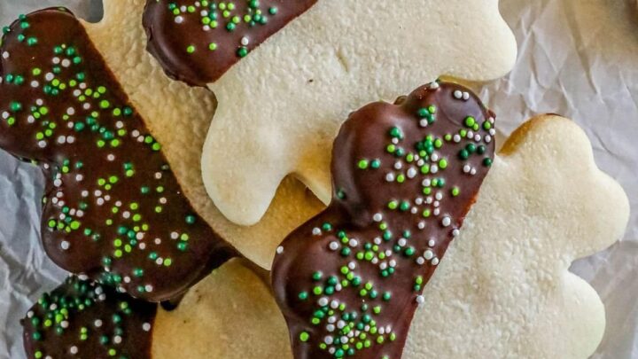picture of shamrock sugar cookie dipped in chocolate and sprinkles