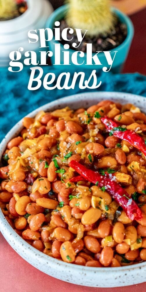 picture of spicy pinto beans in a white bowl 
