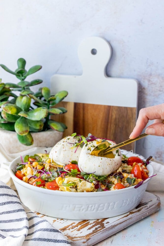 burrata barley salad in a white bowl with microgreens, artichoke hearts, and tomatoes