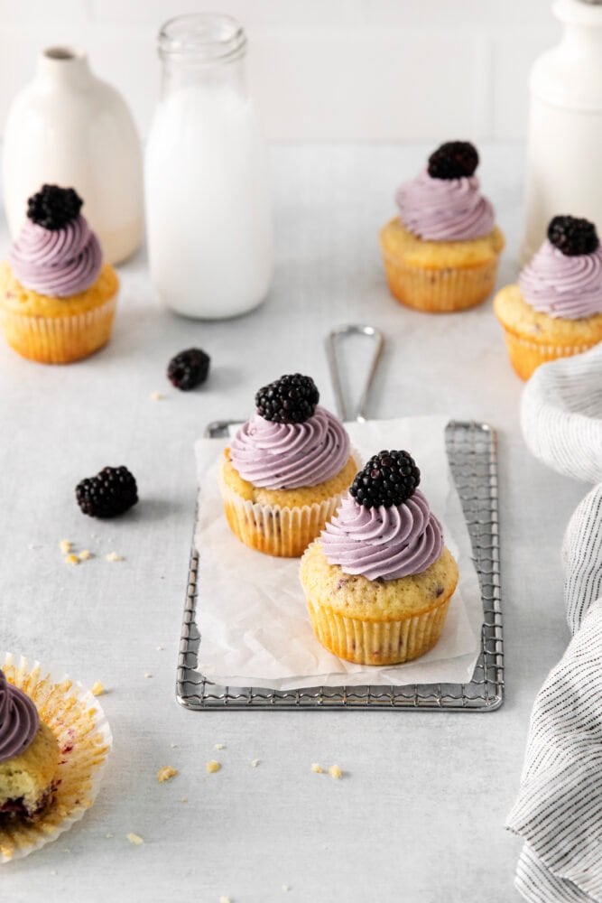 picture of blackberry cupcakes on a table