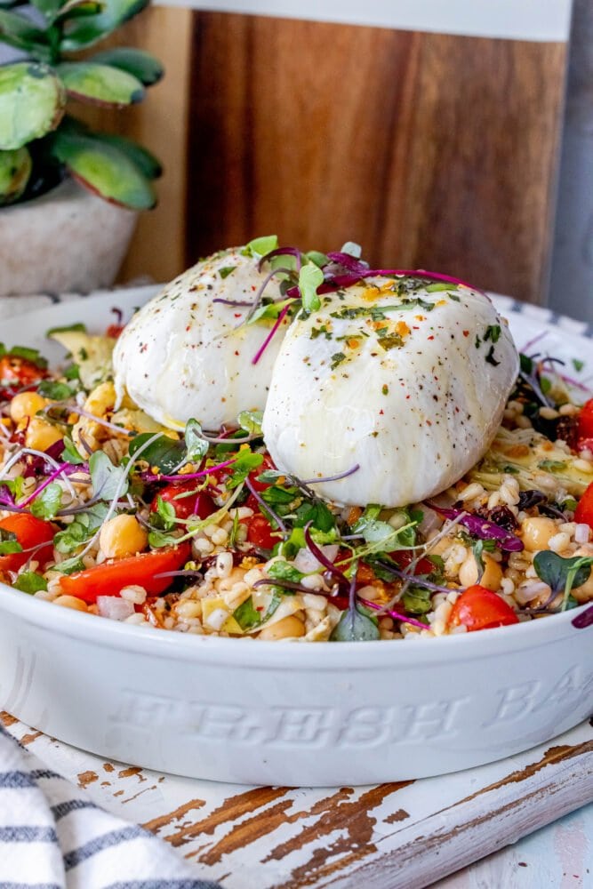 burrata barley salad in a white bowl with microgreens, artichoke hearts, and tomatoes