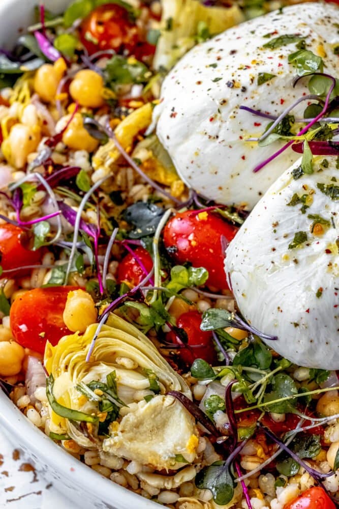 burrata barley salad in a white bowl with microgreens, artichoke hearts, and tomatoes