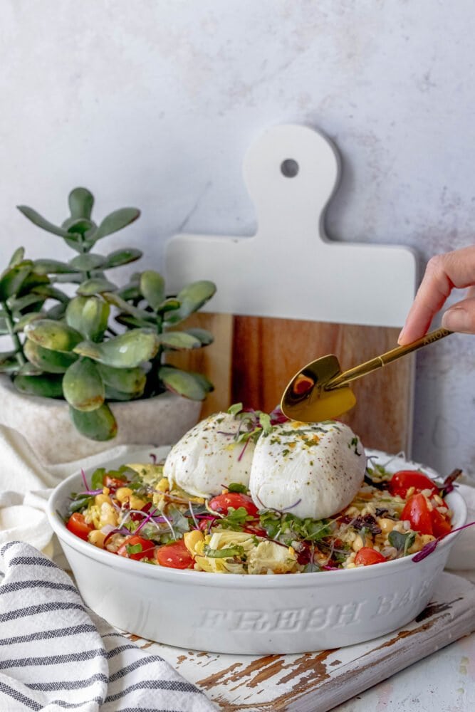 burrata barley salad in a white bowl with microgreens, artichoke hearts, and tomatoes