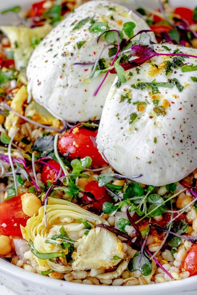 burrata barley salad in a white bowl with microgreens, artichoke hearts, and tomatoes