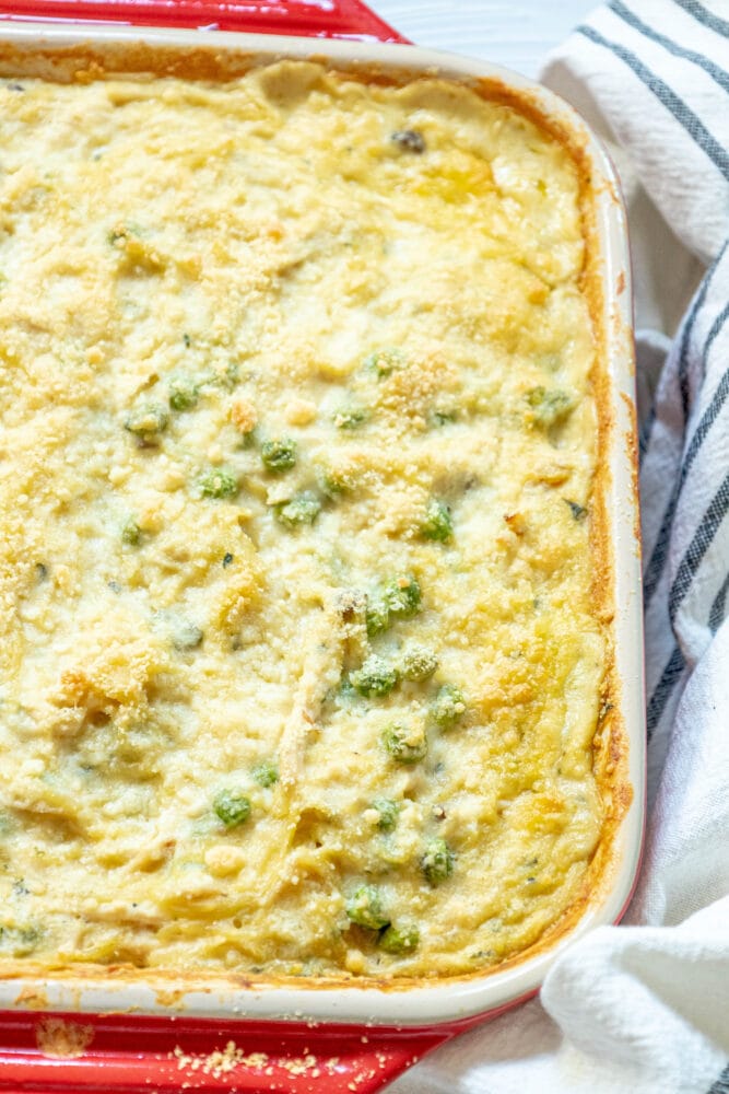 picture of baked chicken tetrazzini noodle casserole with peas in a dish 