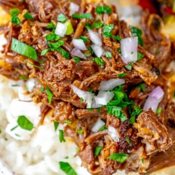 picture of shredded beef short rib over rice with onion on top