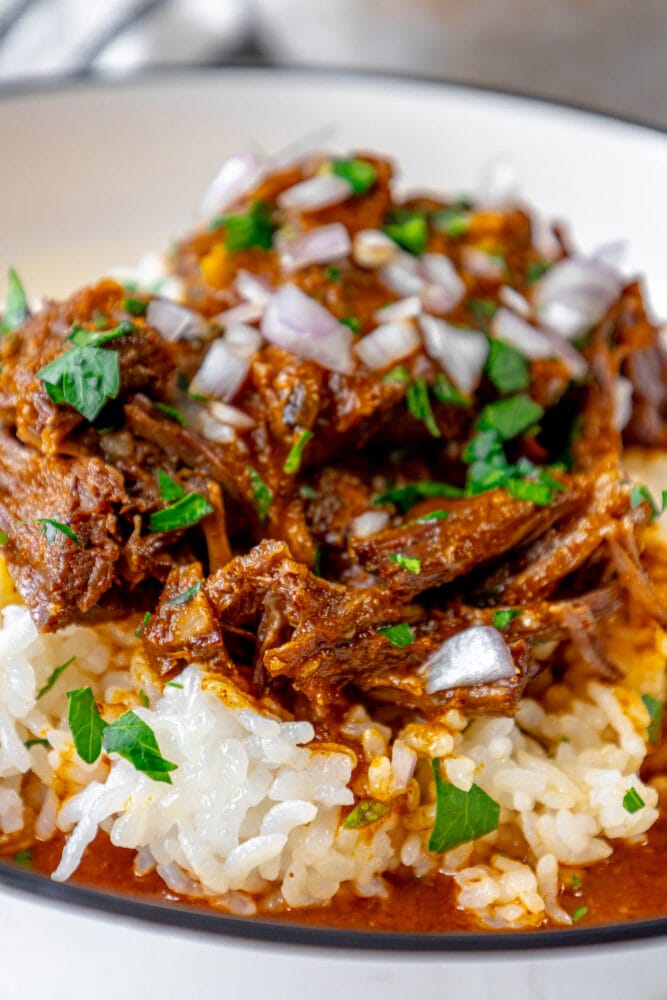 picture of short ribs shredded over rice and topped with cilantro and diced onion