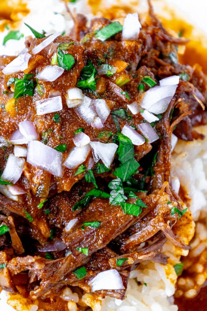 picture of short ribs shredded over rice and topped with cilantro and diced onion