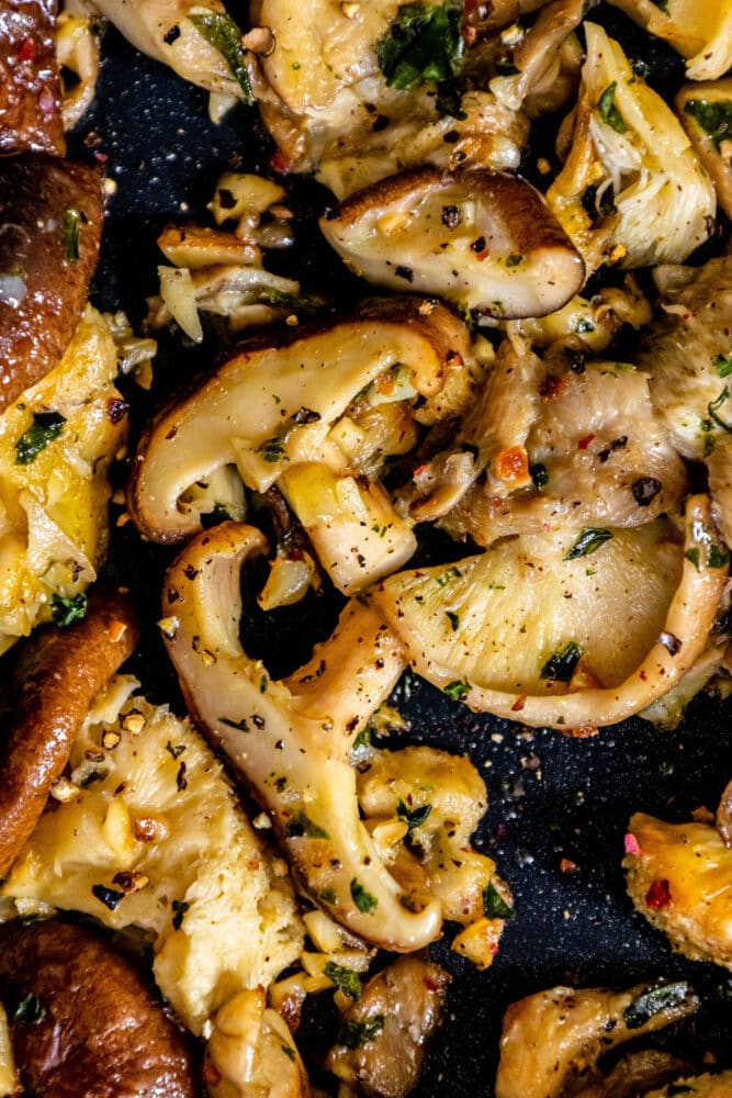 Pan-Fried Oyster Mushrooms - This Healthy Table