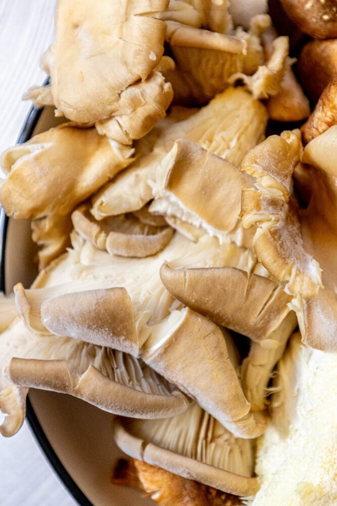 picture of oyster mushrooms in a bowl