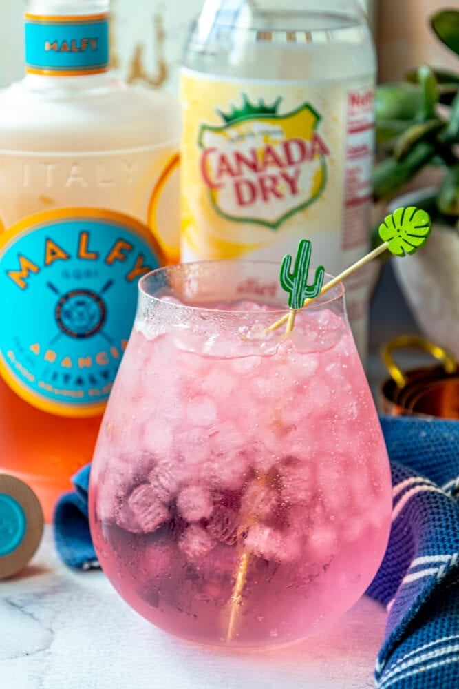 picture of pink gin and tonic in a large glass on a table with ice in it in front of a bottle of malfy con arancia gin